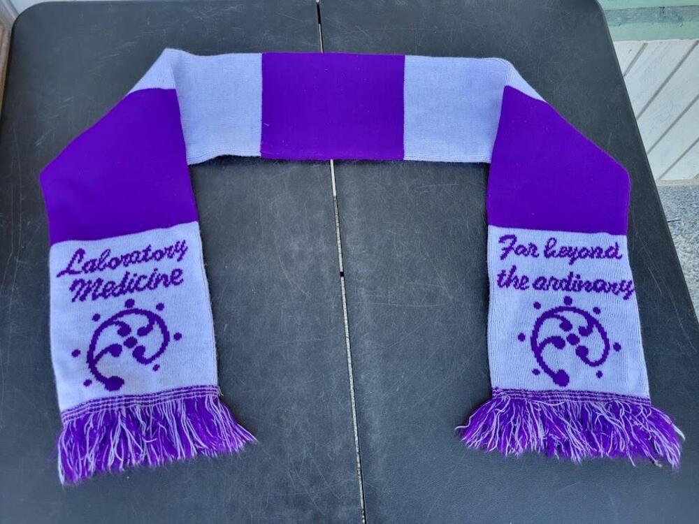 Scarf Womens One Size Purple Gray Striped Laboratory Medicine Fringe Knit Slogan
